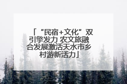 “民宿+文化”双引擎发力 农文旅融合发展激活天水市乡村游新活力