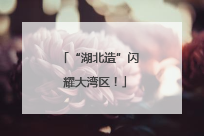 “湖北造”闪耀大湾区！
