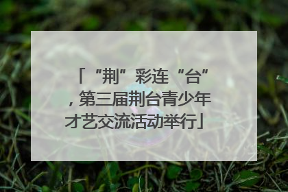 “荆”彩连“台”，第三届荆台青少年才艺交流活动举行