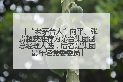 “老茅台人”向平、张贵超获推荐为茅台集团副总经理人选，后者是集团最年轻党委委员