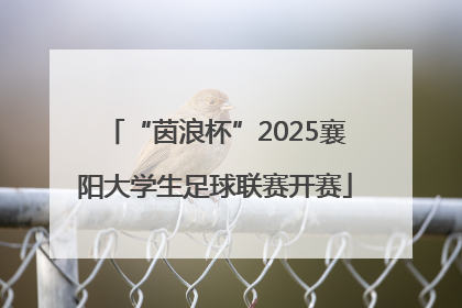 “茵浪杯”2025襄阳大学生足球联赛开赛