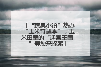 “蔬果小镇”热办“玉米奇遇季”，玉米田里的“迷宫王国”等您来探索