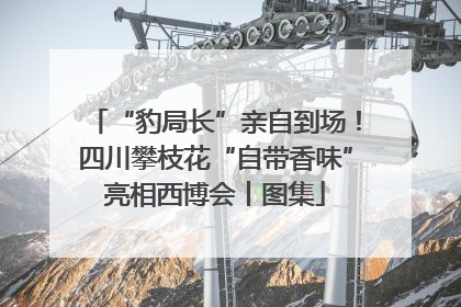 “豹局长”亲自到场！四川攀枝花“自带香味”亮相西博会丨图集