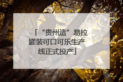 “贵州造”易拉罐装可口可乐生产线正式投产