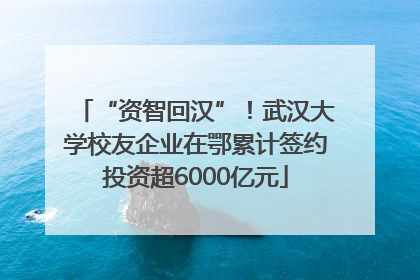 “资智回汉”！武汉大学校友企业在鄂累计签约投资超6000亿元