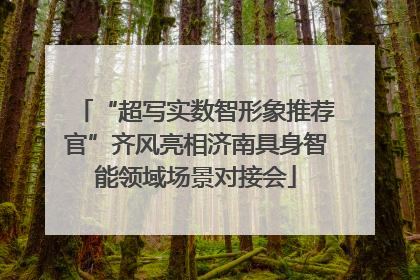 “超写实数智形象推荐官”齐风亮相济南具身智能领域场景对接会