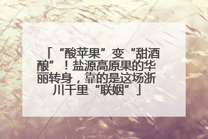 “酸苹果”变“甜酒酿”！盐源高原果的华丽转身，靠的是这场浙川千里“联姻”