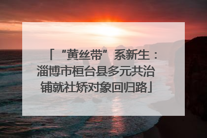 “黄丝带”系新生：淄博市桓台县多元共治铺就社矫对象回归路