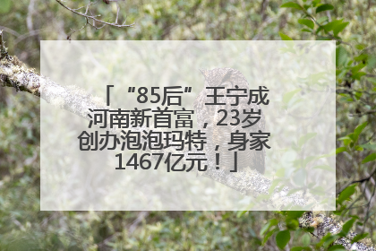 “85后”王宁成河南新首富，23岁创办泡泡玛特，身家1467亿元！