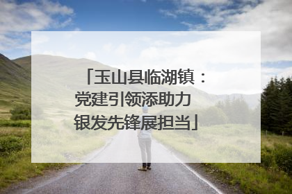 玉山县临湖镇：党建引领添助力 银发先锋展担当