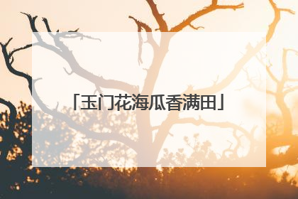 玉门花海瓜香满田