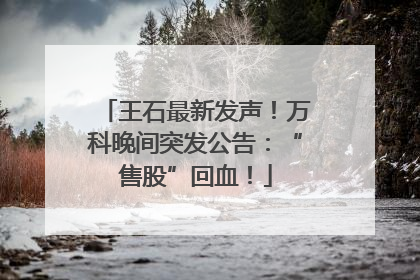 王石最新发声！万科晚间突发公告：“售股”回血！