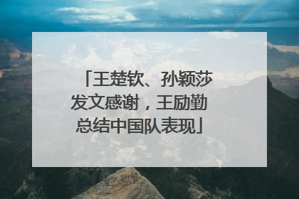 王楚钦、孙颖莎发文感谢，王励勤总结中国队表现