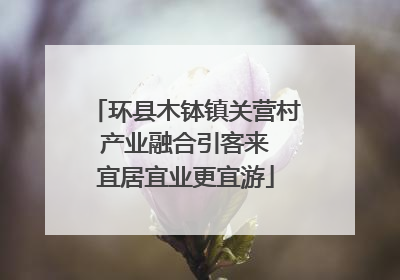 环县木钵镇关营村 产业融合引客来 宜居宜业更宜游