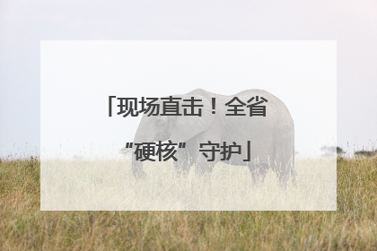 现场直击！全省“硬核”守护