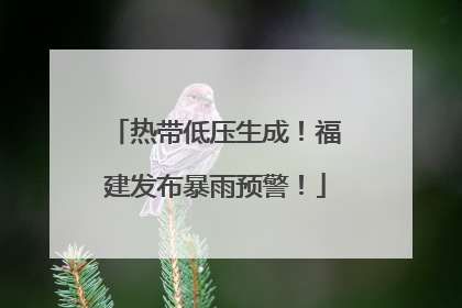 热带低压生成！福建发布暴雨预警！