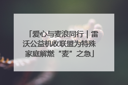 爱心与麦浪同行｜雷沃公益机收联盟为特殊家庭解燃“麦”之急