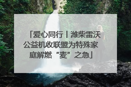 爱心同行丨潍柴雷沃公益机收联盟为特殊家庭解燃“麦”之急