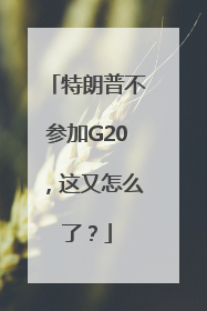 特朗普不参加G20，这又怎么了？