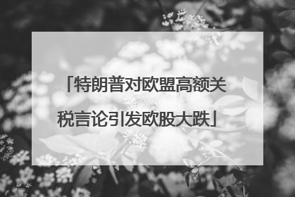 特朗普对欧盟高额关税言论引发欧股大跌