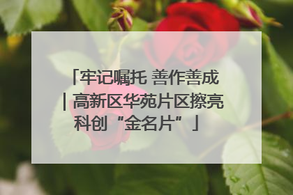 牢记嘱托 善作善成｜高新区华苑片区擦亮科创“金名片”
