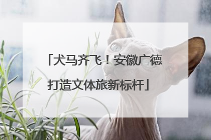 犬马齐飞！安徽广德打造文体旅新标杆