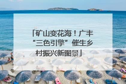矿山变花海！广丰“三色引擎”催生乡村振兴新图景