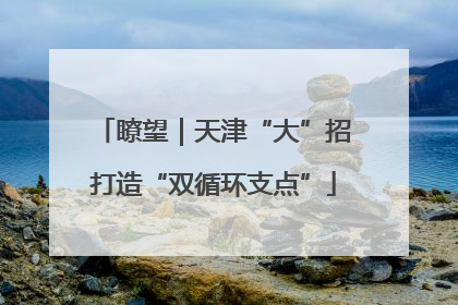 瞭望｜天津“大”招打造“双循环支点”