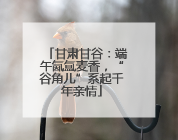 甘肃甘谷：端午氤氲麦香，“谷角儿”系起千年亲情