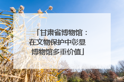 甘肃省博物馆：在文物保护中彰显博物馆多重价值