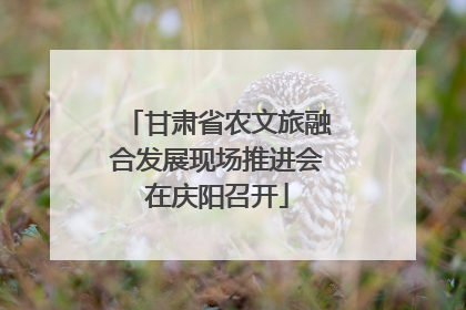 甘肃省农文旅融合发展现场推进会在庆阳召开