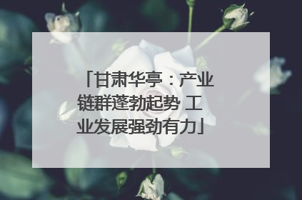 甘肃华亭：产业链群蓬勃起势 工业发展强劲有力