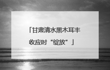 甘肃清水黑木耳丰收应时“绽放”