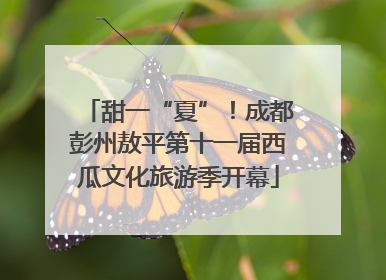 甜一“夏”！成都彭州敖平第十一届西瓜文化旅游季开幕