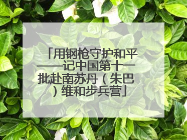 用钢枪守护和平——记中国第十一批赴南苏丹（朱巴）维和步兵营