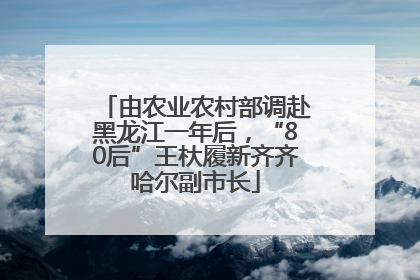 由农业农村部调赴黑龙江一年后，“80后”王杕履新齐齐哈尔副市长