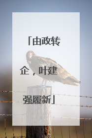 由政转企，叶建强履新