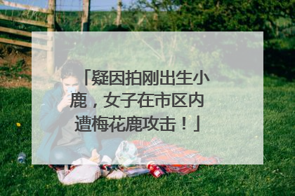 疑因拍刚出生小鹿，女子在市区内遭梅花鹿攻击！