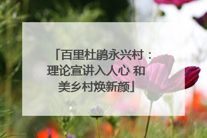 百里杜鹃永兴村：理论宣讲入人心 和美乡村焕新颜