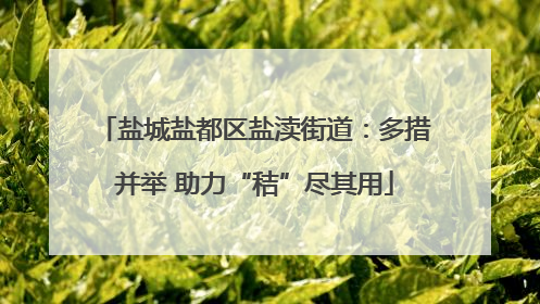盐城盐都区盐渎街道：多措并举 助力“秸”尽其用