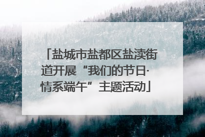 盐城市盐都区盐渎街道开展“我们的节日·情系端午”主题活动