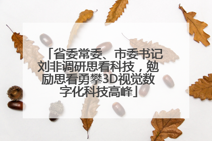 省委常委、市委书记刘非调研思看科技，勉励思看勇攀3D视觉数字化科技高峰