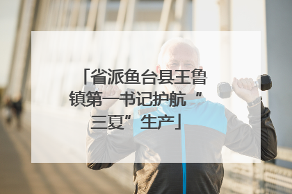 省派鱼台县王鲁镇第一书记护航“三夏”生产