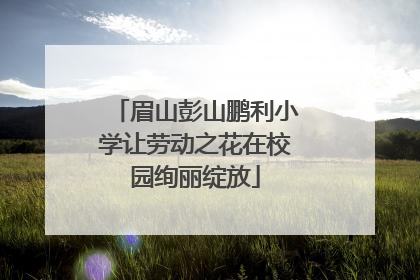 眉山彭山鹏利小学让劳动之花在校园绚丽绽放