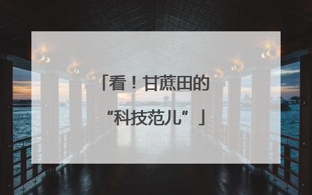 看！甘蔗田的“科技范儿”