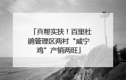真帮实扶！百里杜鹃管理区两村“威宁鸡”产销两旺