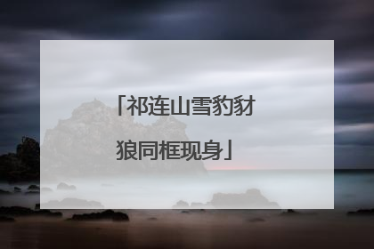 祁连山雪豹豺狼同框现身