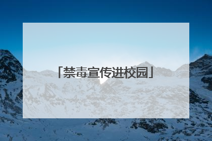 禁毒宣传进校园