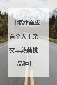 福建育成首个人工杂交早熟黄桃品种