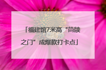 福建馆7米高“简牍之门”成爆款打卡点